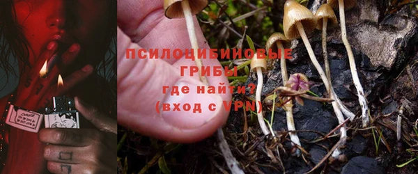 сатива Касимов