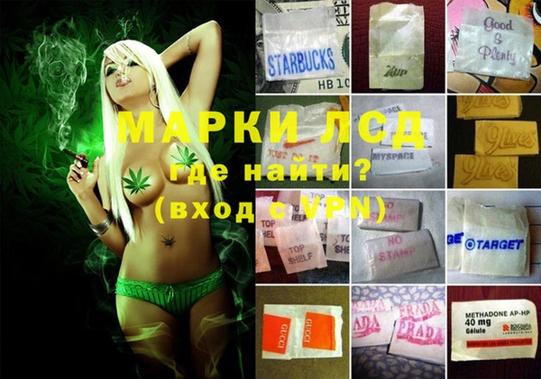 ГАЛЛЮЦИНОГЕННЫЕ ГРИБЫ Киреевск